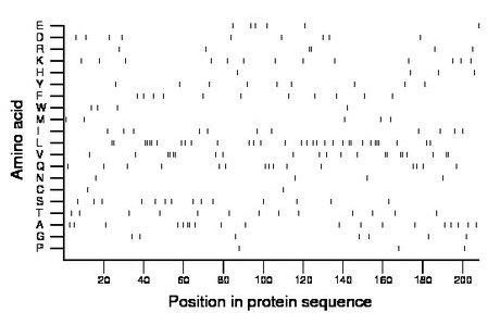 amino acid map