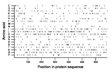 amino acid map