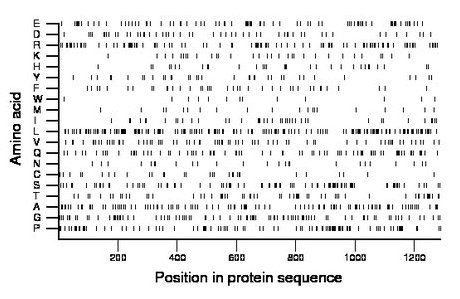 amino acid map