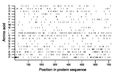 amino acid map