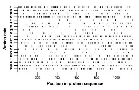 amino acid map