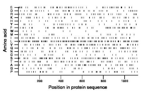 amino acid map