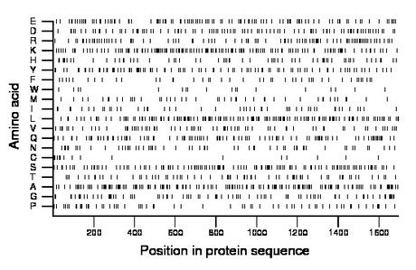 amino acid map