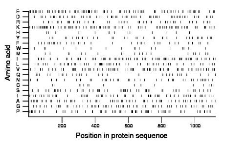 amino acid map