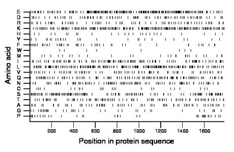 amino acid map