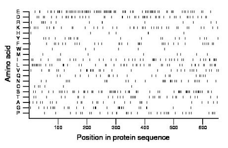 amino acid map