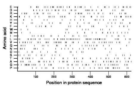 amino acid map