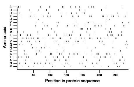 amino acid map