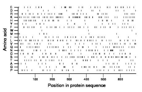 amino acid map