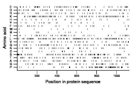 amino acid map