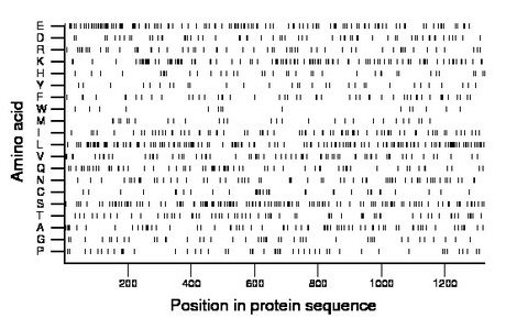 amino acid map