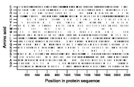 amino acid map