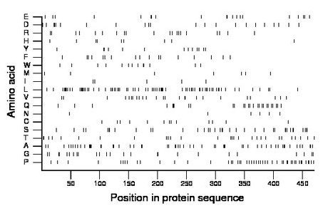 amino acid map