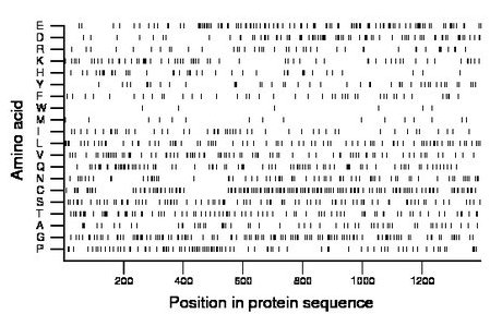 amino acid map