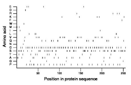 amino acid map