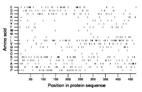 amino acid map