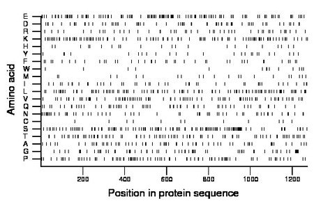 amino acid map