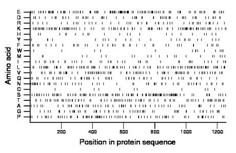 amino acid map