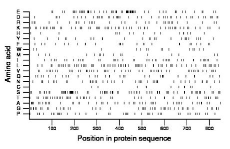 amino acid map