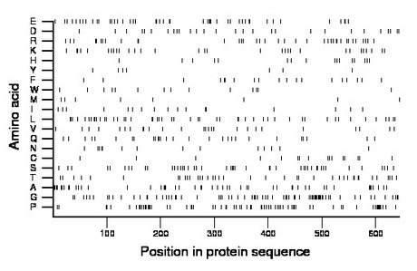 amino acid map