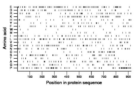 amino acid map