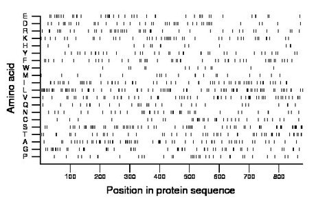 amino acid map