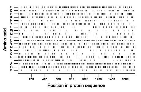 amino acid map