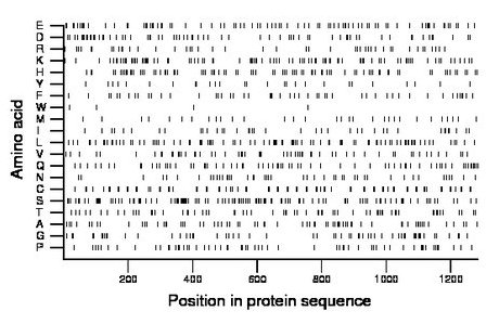 amino acid map