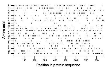 amino acid map