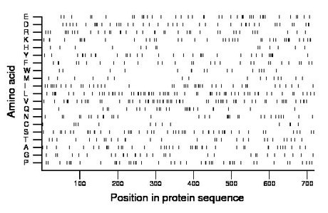 amino acid map