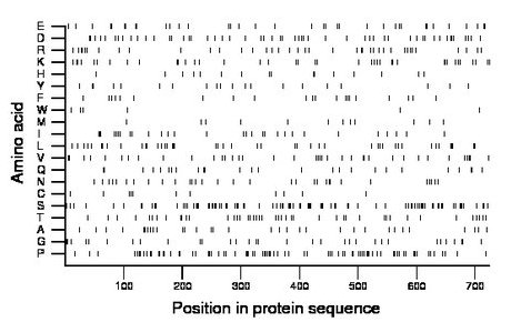 amino acid map