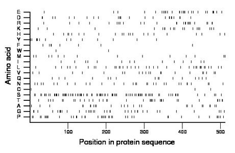 amino acid map