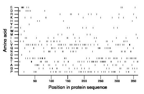 amino acid map