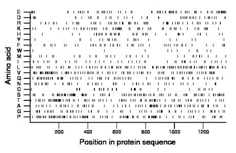 amino acid map