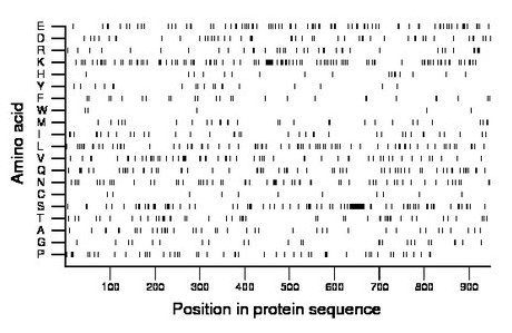 amino acid map