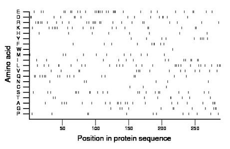 amino acid map