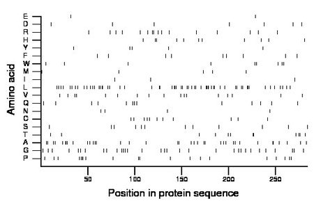 amino acid map