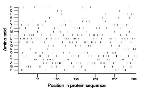 amino acid map