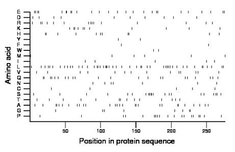 amino acid map