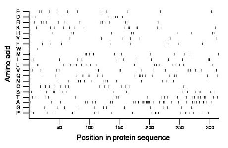 amino acid map