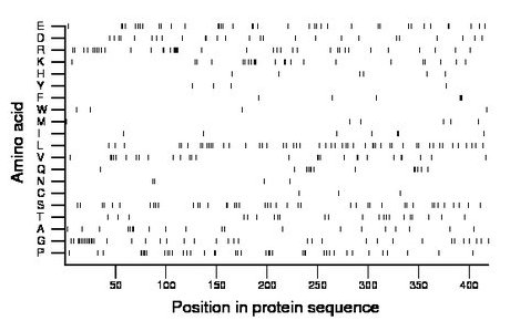 amino acid map