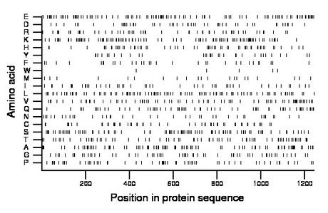 amino acid map