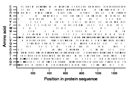 amino acid map