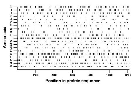 amino acid map