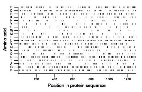 amino acid map