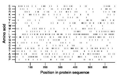 amino acid map