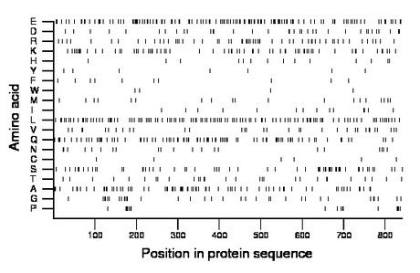 amino acid map