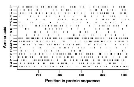 amino acid map