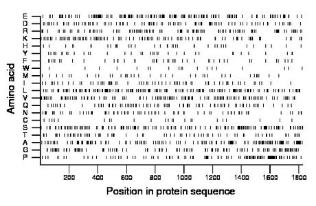 amino acid map