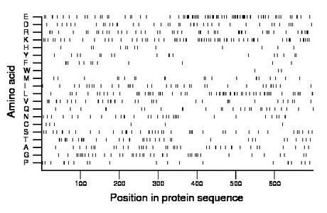 amino acid map